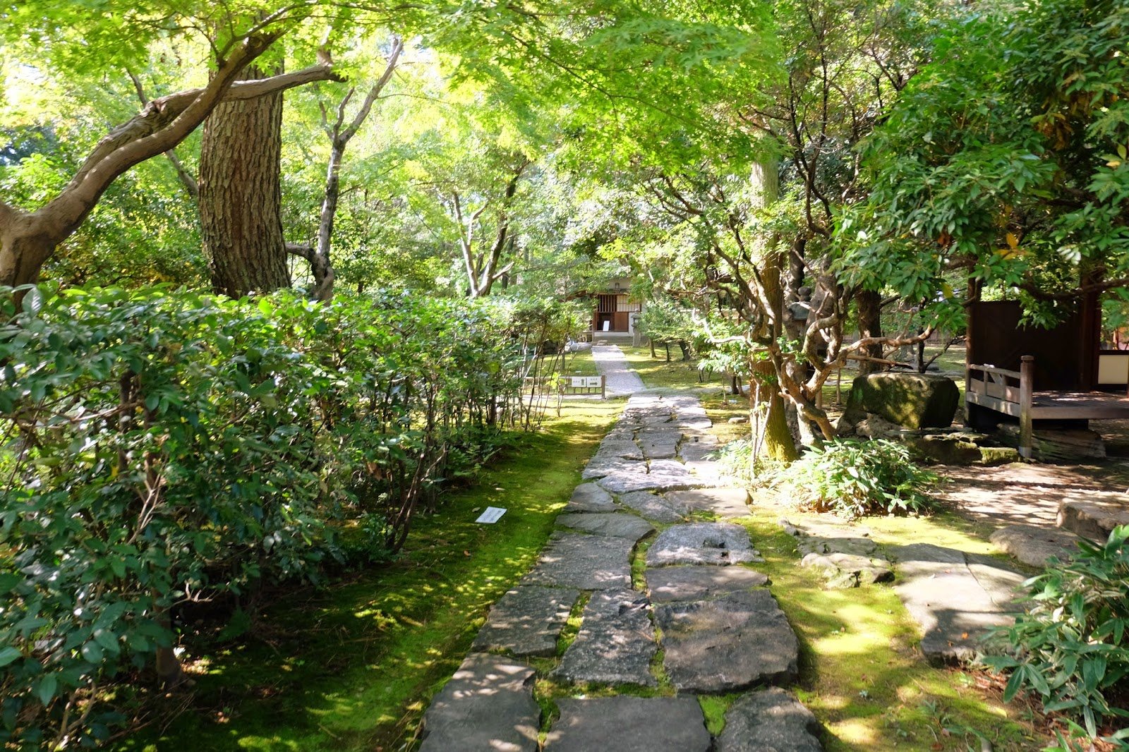 🏯 나고야 성(나고야조) 이미지 9